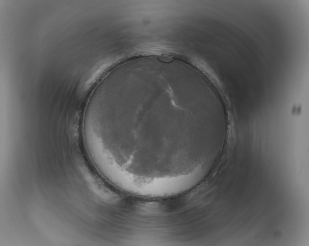 X0000111220058200907091322