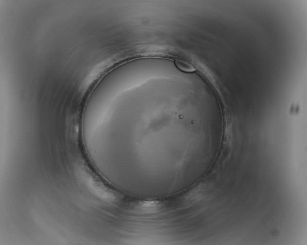 X0000111220059200907091322