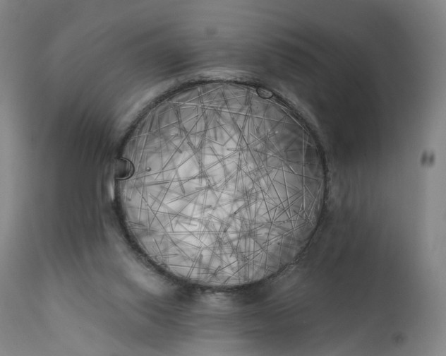 X0000111220062200907091322