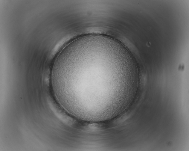 X0000111220064200907091322