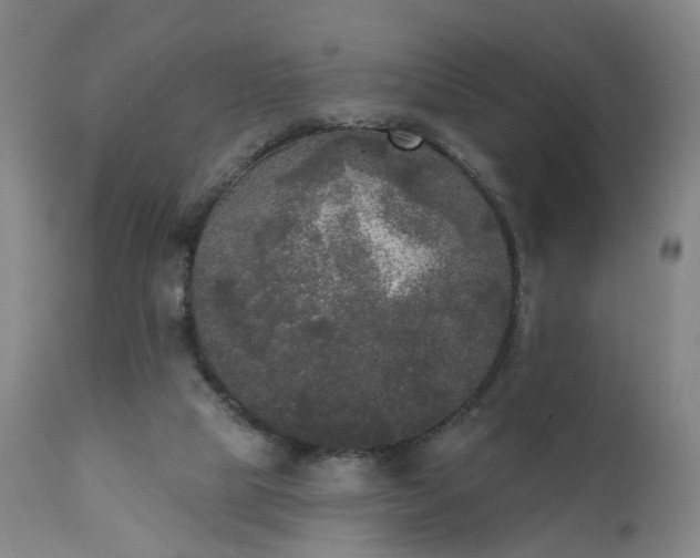 X0000111220065200907091322