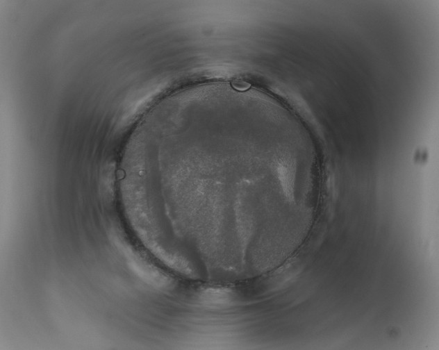 X0000111220066200907091322