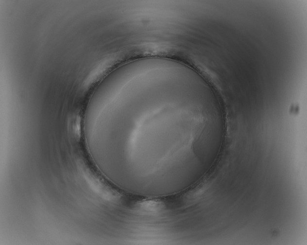 X0000111220067200907091322