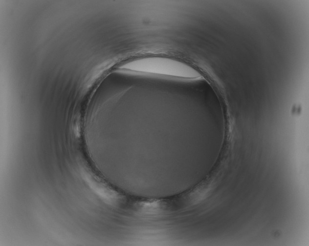 X0000111220068200907091322