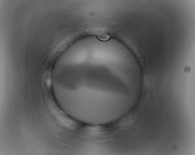X0000111220069200907091322