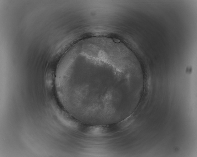 X0000111220074200907091322