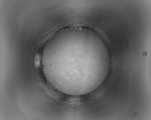 X0000111220075200907091322