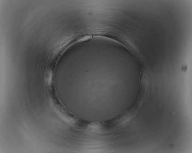 X0000111220076200907091322