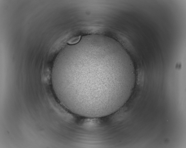 X0000111220077200907091322