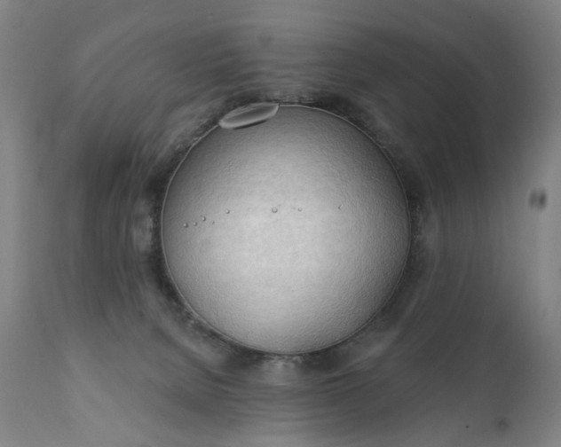 X0000111220080200907091322