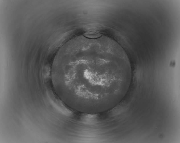 X0000111220081200907091322