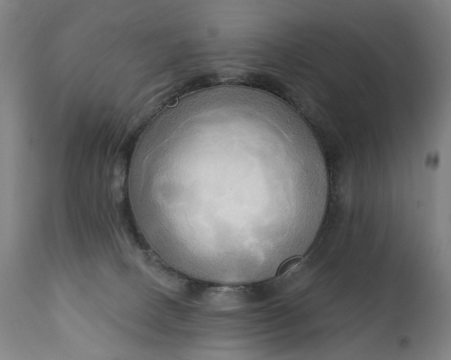 X0000111220082200907091322
