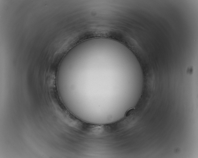 X0000111220083200907091322