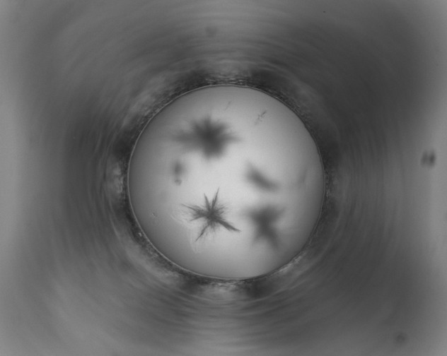 X0000111220086200907091322