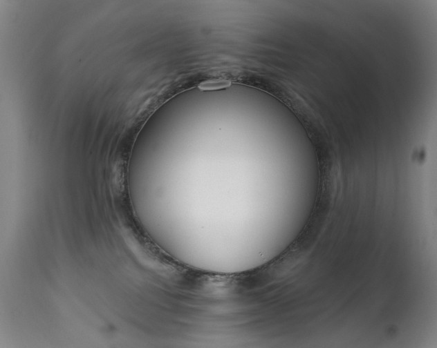 X0000111220088200907091322