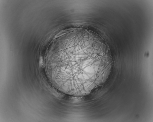 X0000111220089200907091322
