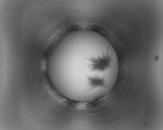 X0000111220090200907091322