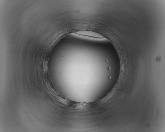 X0000111220096200907091323