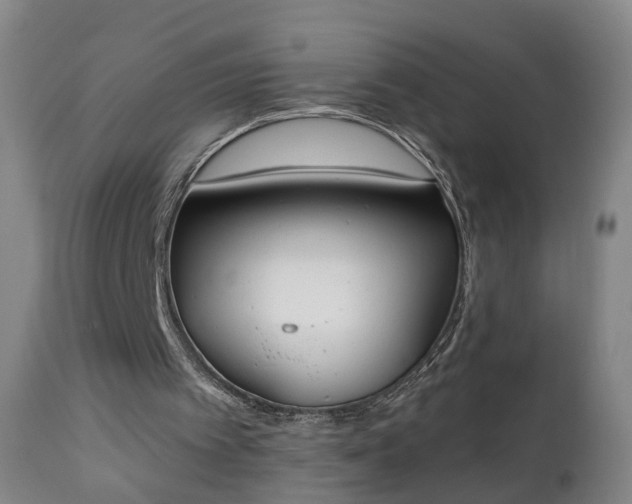 X0000111220097200907091322