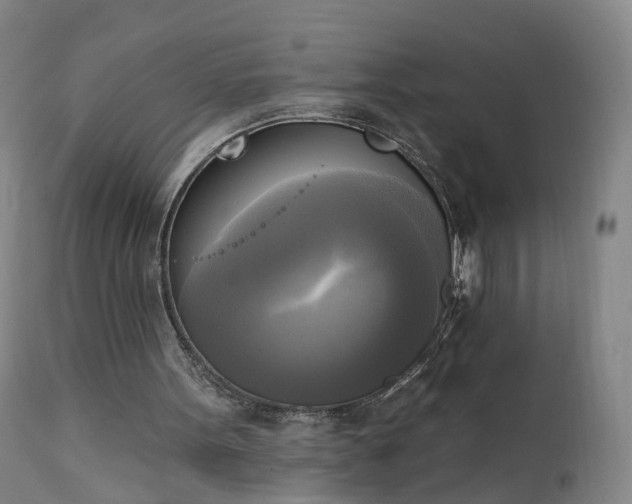 X0000111220099200907091322