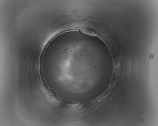 X0000111220100200907091322