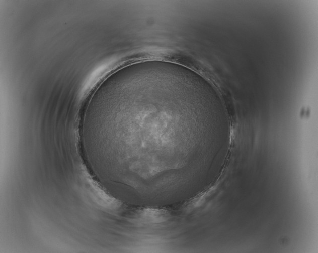 X0000111220101200907091322