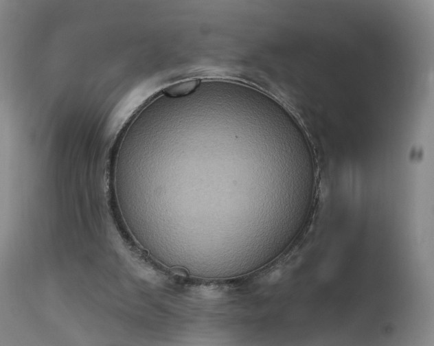 X0000111220103200907091322