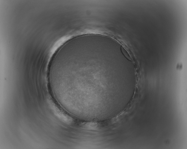 X0000111220104200907091322