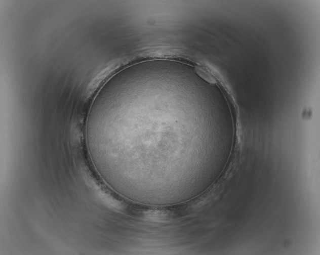 X0000111220105200907091322