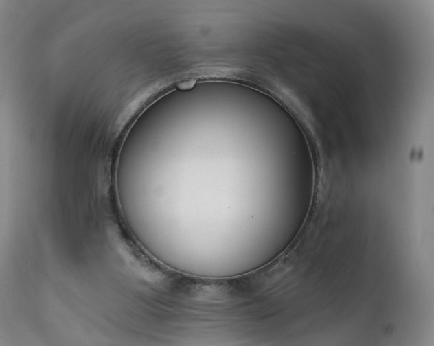 X0000111220107200907091322