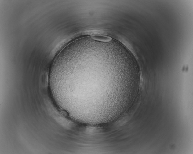 X0000111220109200907091322