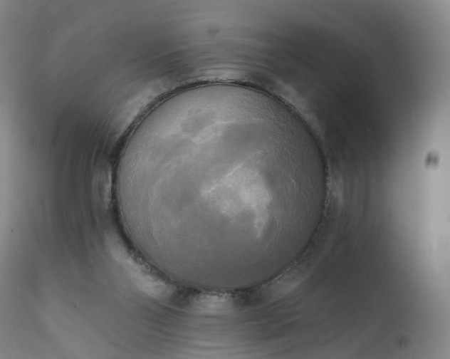 X0000111220110200907091322