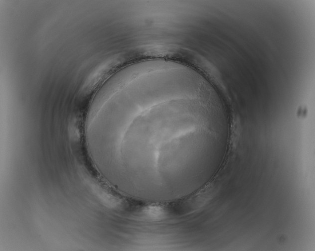 X0000111220114200907091322