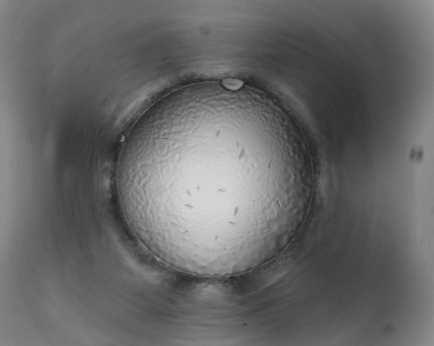 X0000111220115200907091322