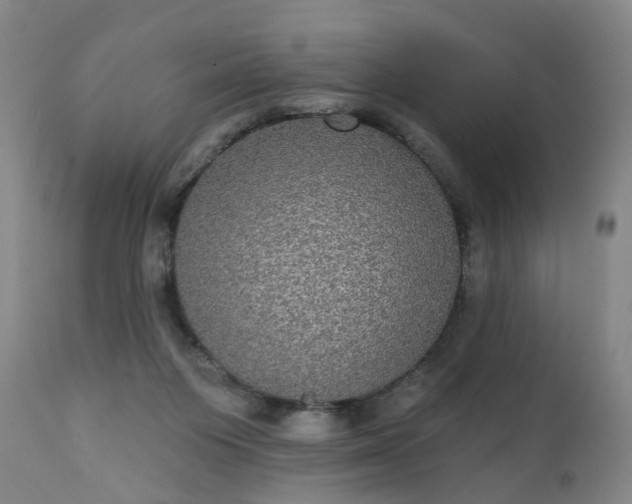 X0000111220119200907091322