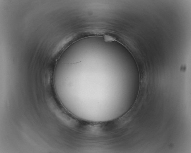 X0000111220120200907091322