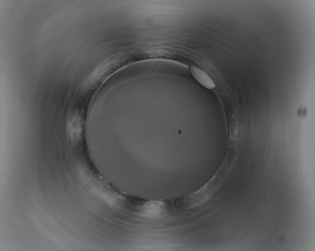 X0000111220124200907091321
