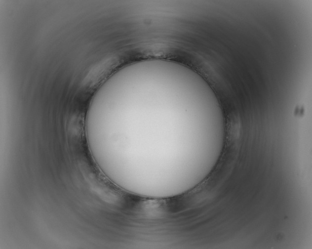 X0000111220126200907091321