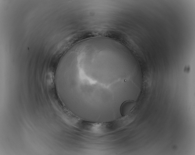 X0000111220130200907091321