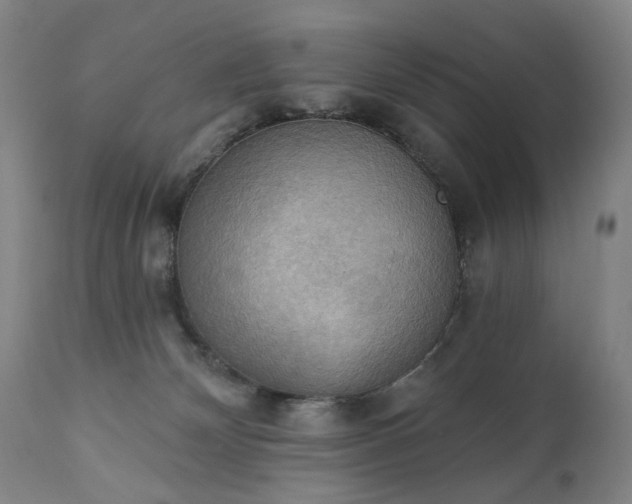 X0000111220132200907091321