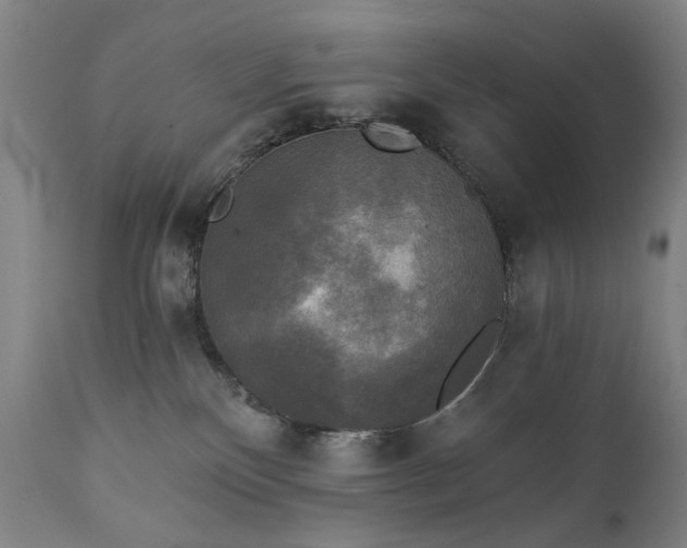 X0000111220136200907091321