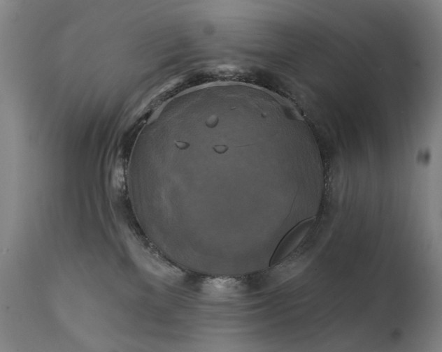 X0000111220137200907091321