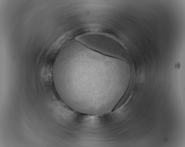 X0000111220140200907091321