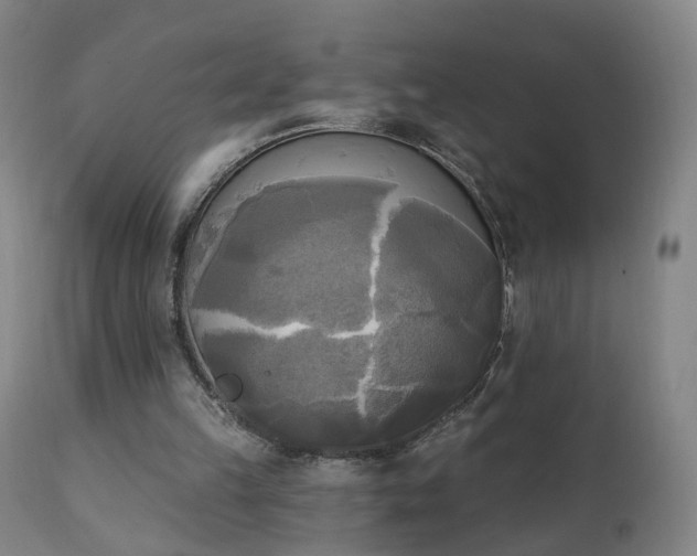 X0000111220149200907091320