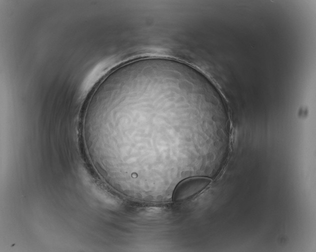X0000111220151200907091320