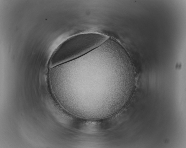 X0000111220152200907091320