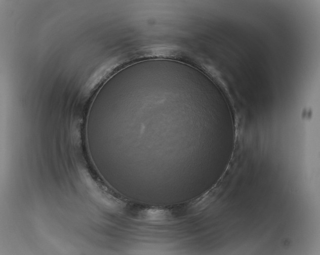 X0000111220154200907091321