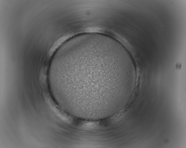 X0000111220155200907091321