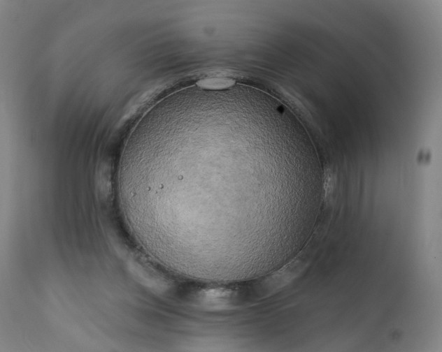 X0000111220158200907091321
