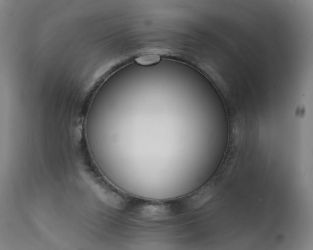 X0000111220160200907091321